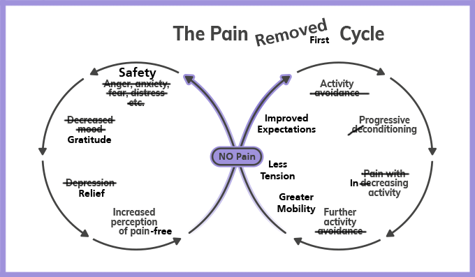 OldPain2Go Pain Cycle